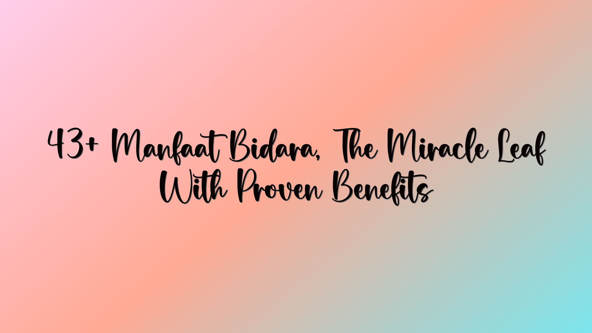 43+ Manfaat Bidara, The Miracle Leaf With Proven Benefits